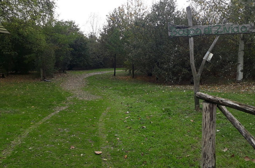 Oasi Bosco di Zivido, Italy